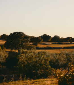 DTS_AWAY_Daniel_Farò_Photos_ID7533