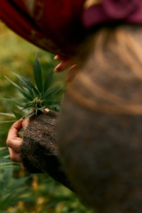 DTS_Forager__Daniel_Farò_Photos_ID11637