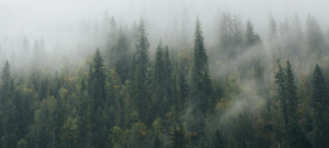 DTS_Sian_in_Jasper_Sian_Richardson_Photos_ID560 (1)