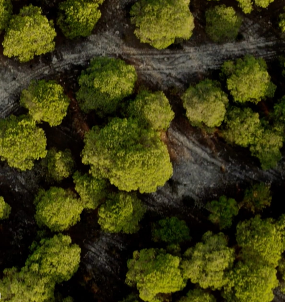 We only use FSC-certified wood and sustainable materials — responsibly sourced and thoughtfully applied. It’s part of our promise to tread lightly, build wisely, and leave nature better than we found it.